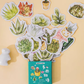 Succulent Plant Stories - Self Adhesive Sticker Box