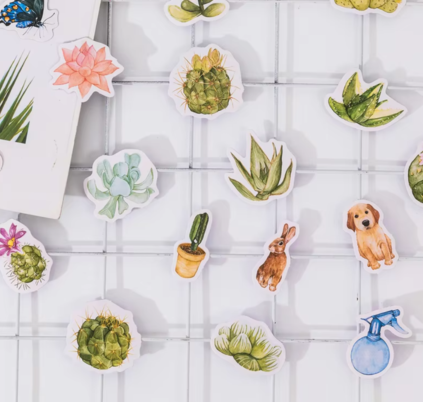 Succulent Plant Stories - Self Adhesive Sticker Box