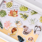 Succulent Plant Stories - Self Adhesive Sticker Box