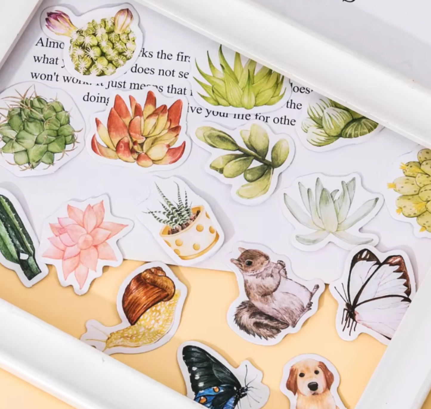 Succulent Plant Stories - Self Adhesive Sticker Box