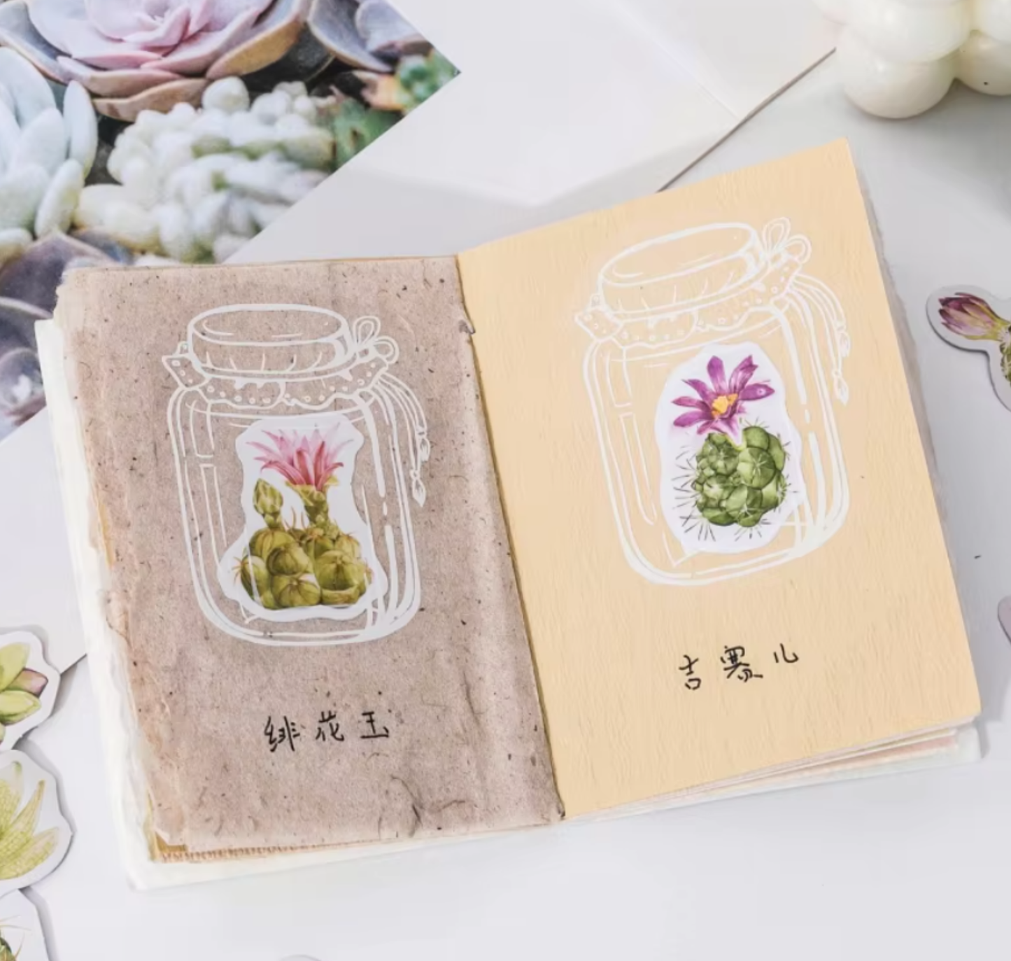 Succulent Plant Stories - Self Adhesive Sticker Box