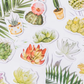 Succulent Plant Stories - Self Adhesive Sticker Box