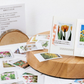 The Season of Tulip - Self Adhesive Sticker Box