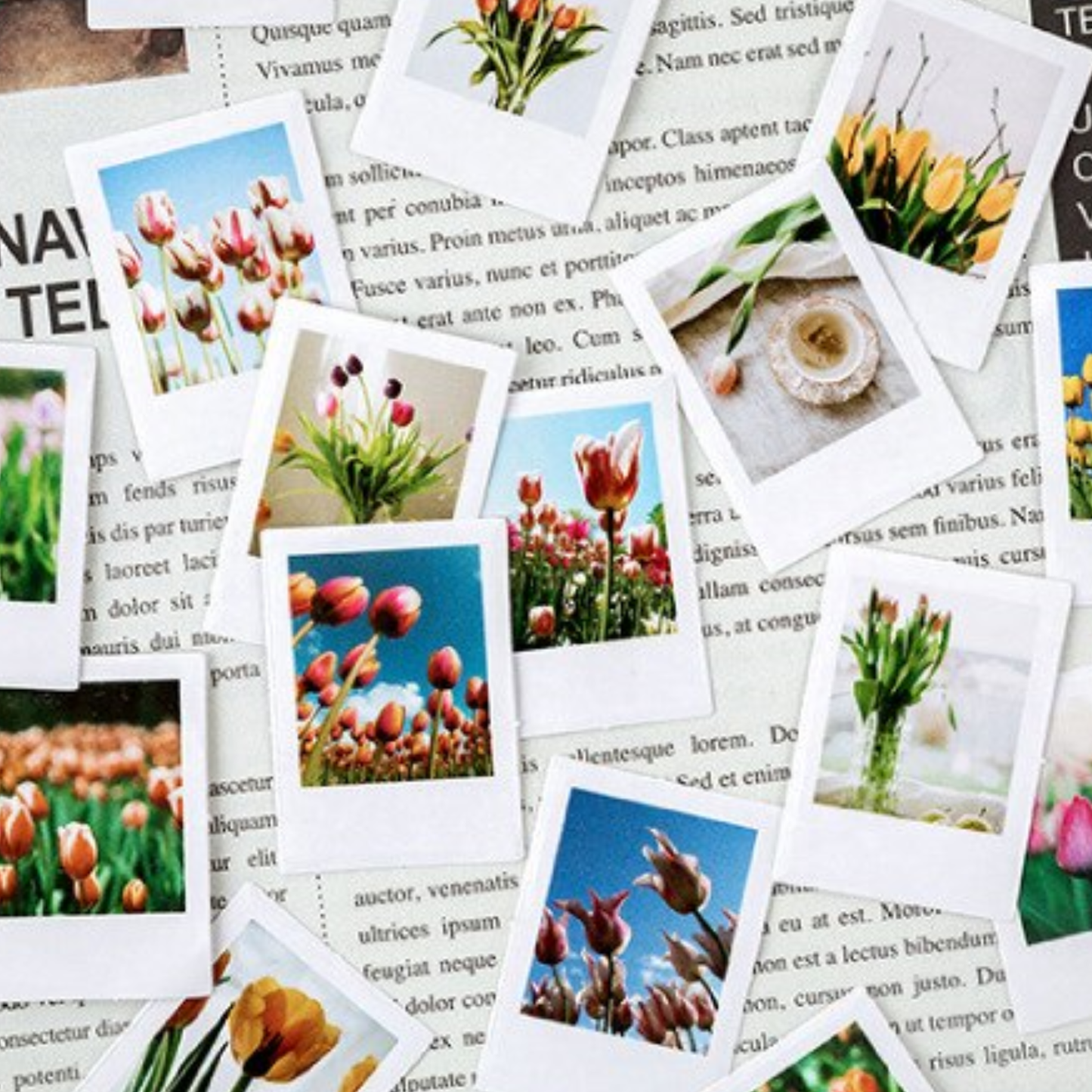 The Season of Tulip - Self Adhesive Sticker Box