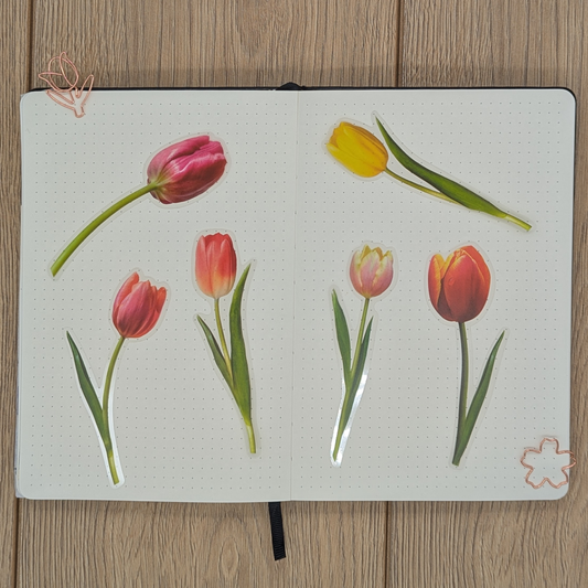 Tulip Flowers - Sticker Sheet