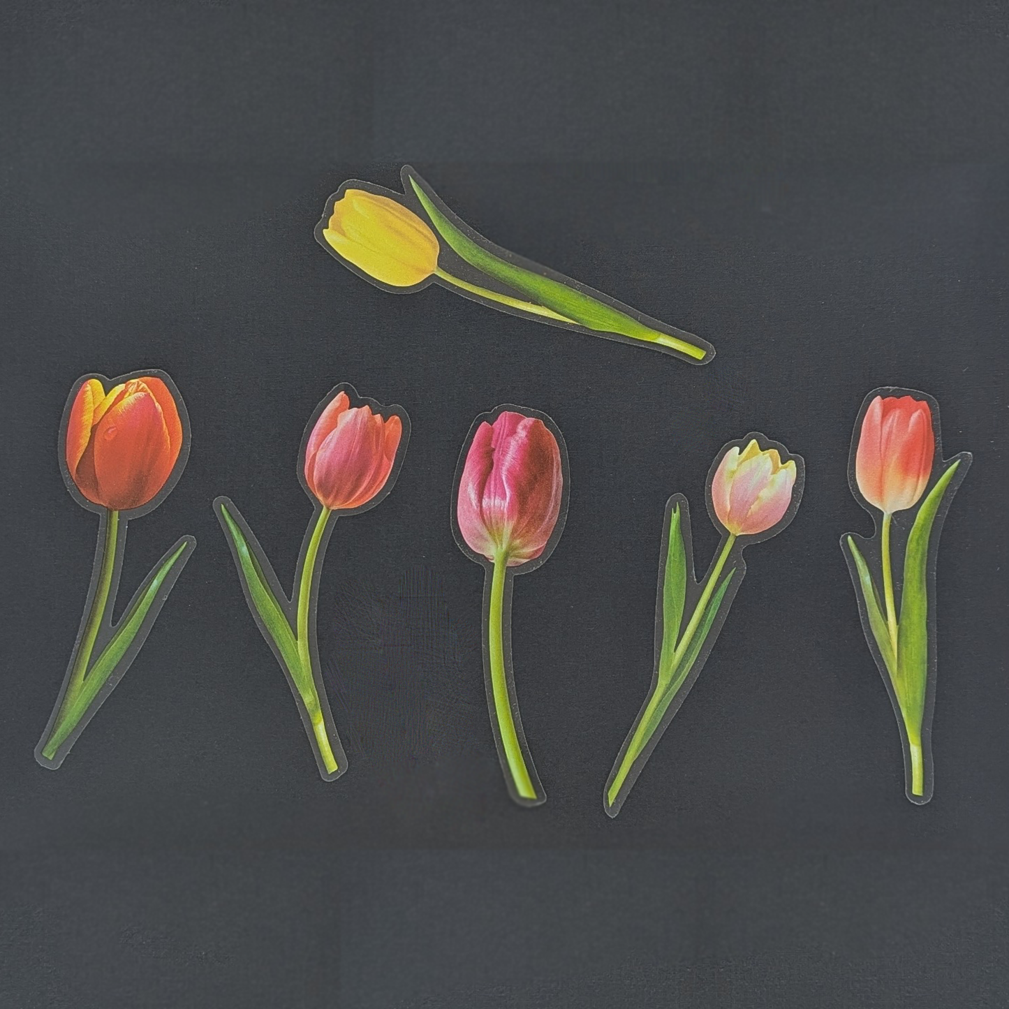 Tulip Flowers - Sticker Sheet