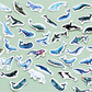 Whale Song - Self Adhesive Sticker Box