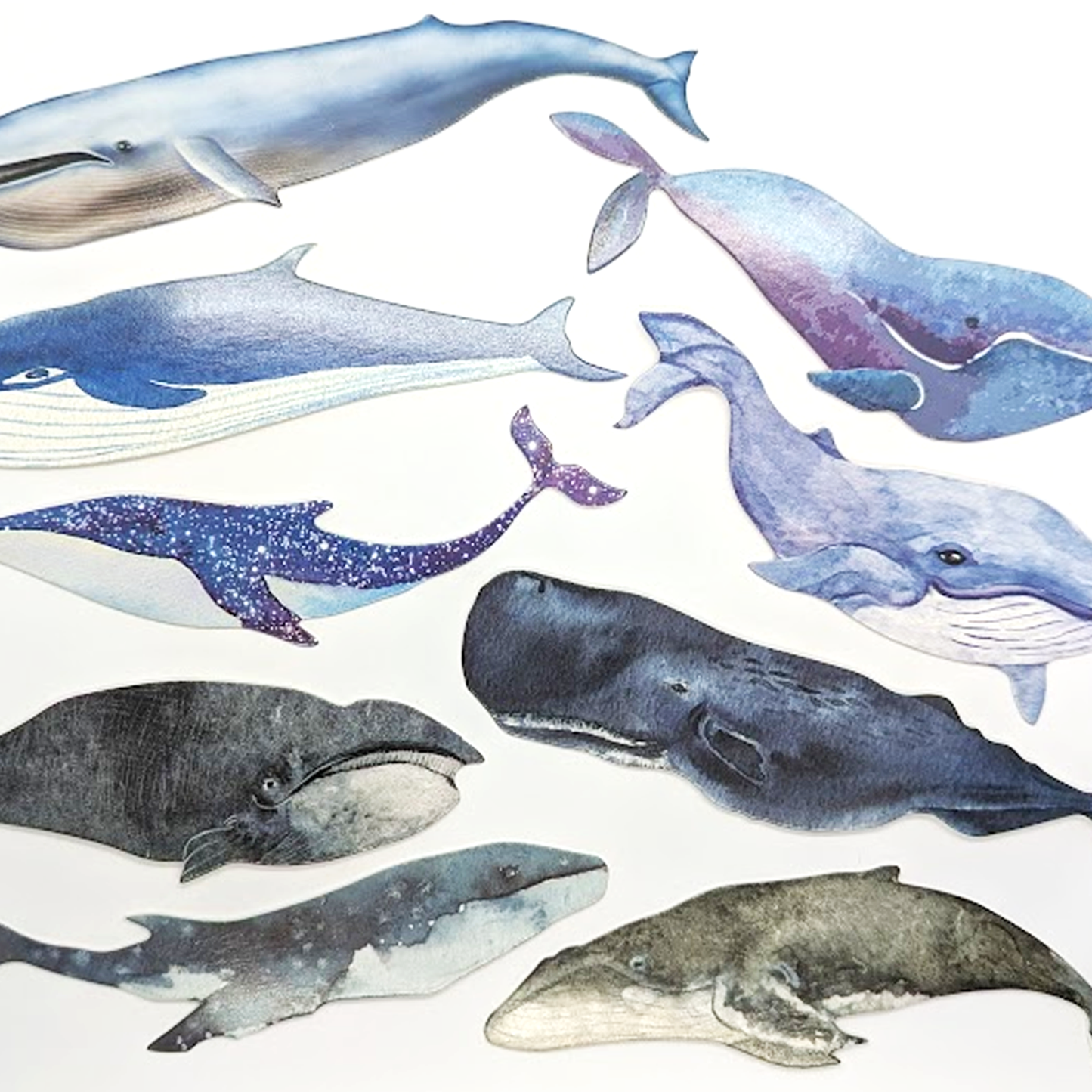 Whale Card Cutouts