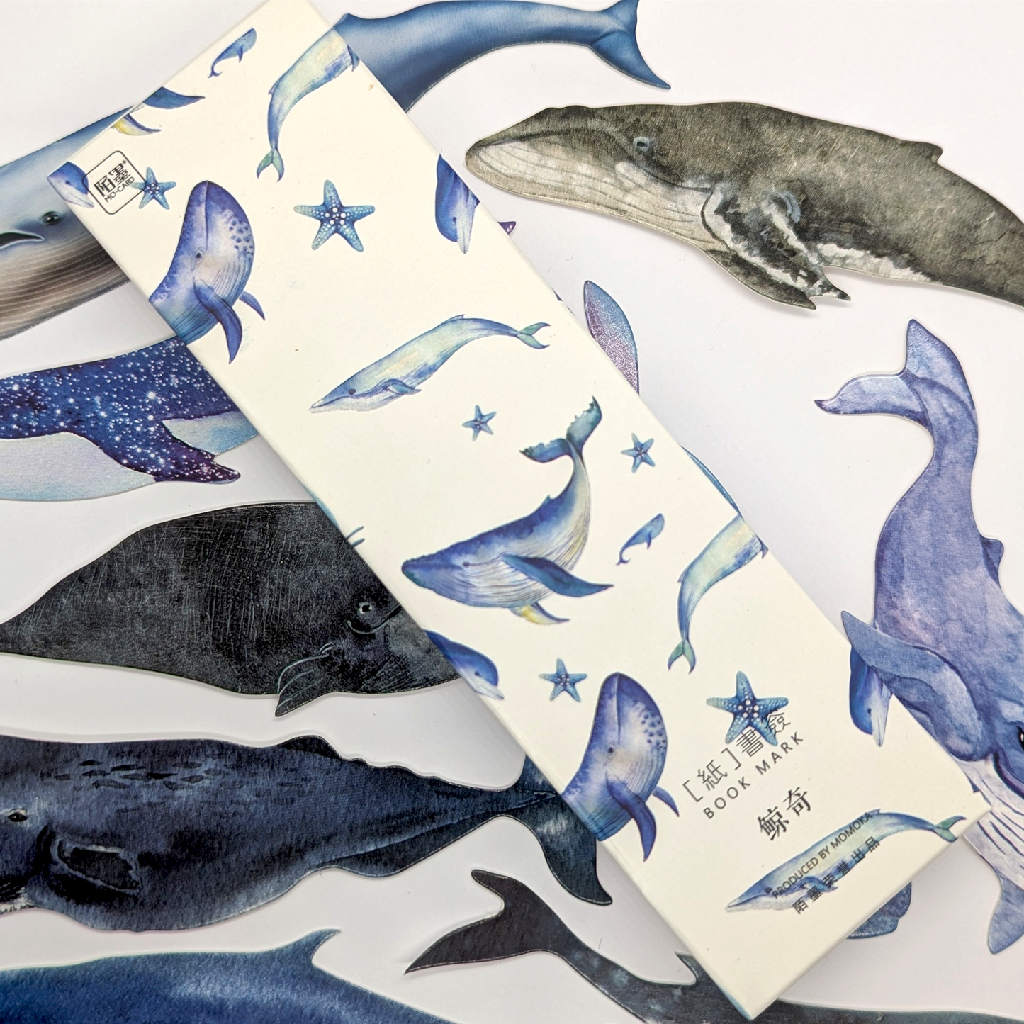 Whale Card Cutouts