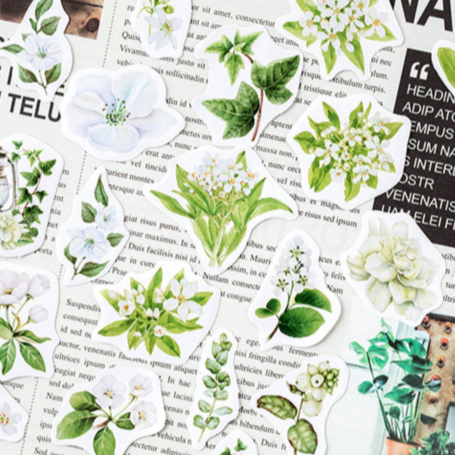 White Flowers & Ivy - Self Adhesive Sticker Box